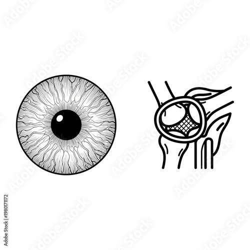 Human Eye Anatomy and Lens Replacement Surgery Icon