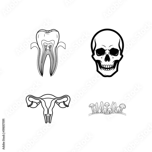 Set of Four Icons Tooth, Skull, Uterus, and Mushrooms Illustration