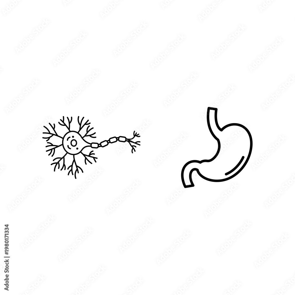 Fototapeta premium Neuron and Stomach Icons A Visual Representation of Nervous System and Digestive System