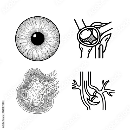 Medical and Biological System Icons for Science and Health