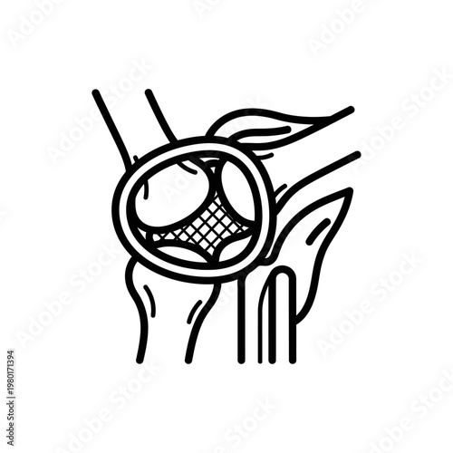 Medical Illustration of the Knee Joint Anatomy