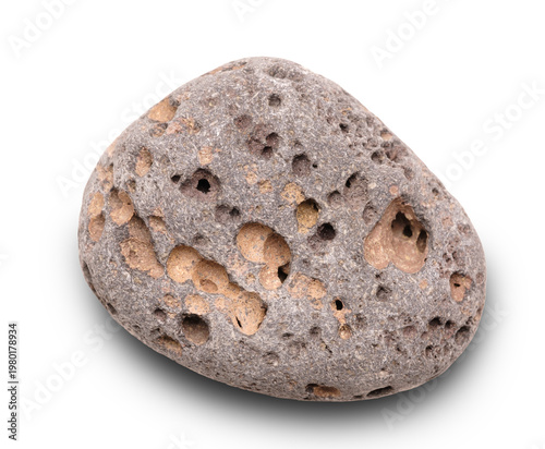 Smooth, porous volcanic rock with rounded edges. Holes vary in size across its surface. Grayish-brown tones blend with lisolated on transparent white background