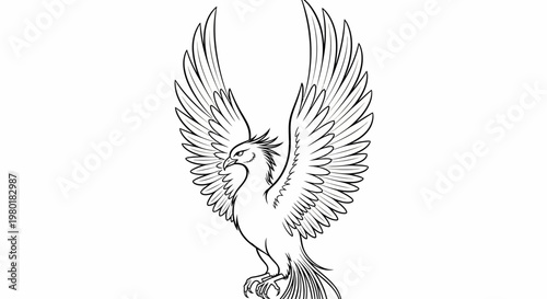 Phoenix mythical bird line art drawing with majestic wide-spread wings. Elegant fantasy creature illustration, symbolizing rebirth and power.