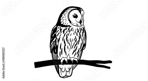 Stylized black and white owl illustration perched on a branch. Detailed monochrome graphic of a wise nocturnal bird.