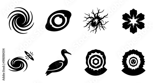 Abstract black icons set, minimalist vector symbols of galaxy spirals, nature elements and bird silhouette, 8 graphic design assets