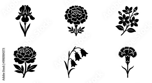 Black floral silhouette icons set, 6 botanical flower vector elements, minimalist garden blossom illustrations for logo design and branding