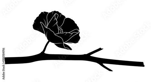 A delicate flower and branch presented as a striking silhouette