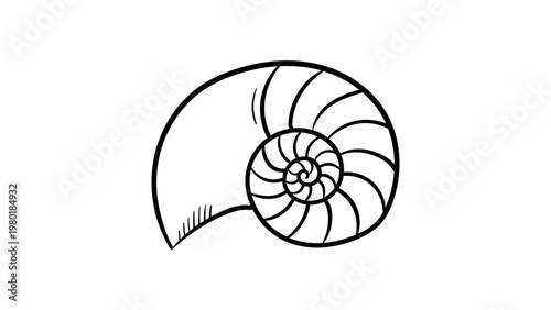 Nautilus Shell Vector Icon, Minimalist Black Line Illustration on White Background, Hand-Drawn Style Cross-Section of a Spiral Sea Shell, Scalable Outline Graphic for Marine and Nature Design.