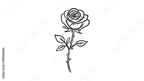 Minimalist black line vector icon of a blooming rose with a thorny stem and leaves, hand-drawn outline illustration on a white background, scalable floral design for logos, tattoos, and art.