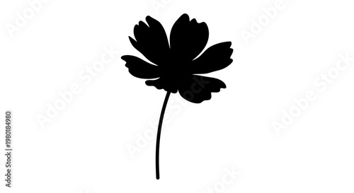 A striking black flower with delicate petals a beautiful silhouette