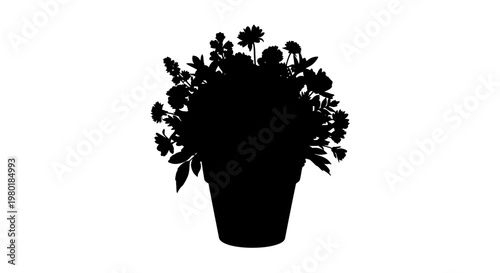 Floral arrangement in a pot a striking black silhouette