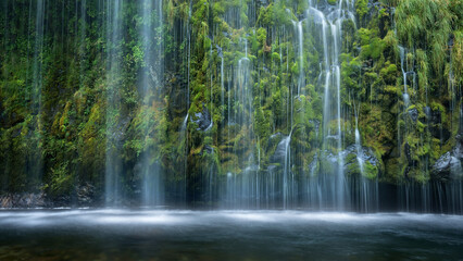 Fototapete Krankenhaus Heilende Wasser der Mossbrae Falls  © Sumiko Scott