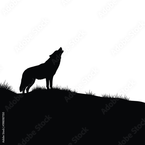 Silhouette of a wolf standing on a hill and howling loudly outside
