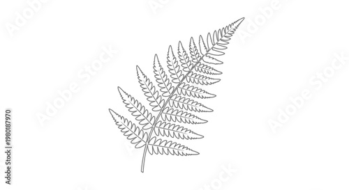 Minimalist grey line art illustration of a fern leaf, botanical plant drawing for nature designs and organic aesthetics.