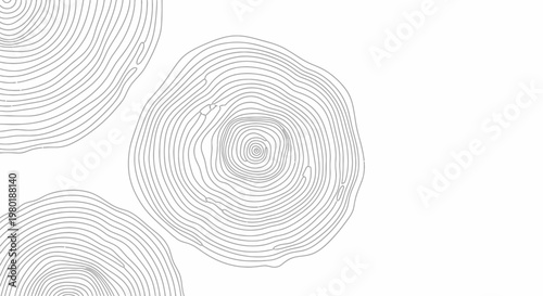 Minimalist abstract vector illustration of tree rings or wood grain with concentric circle patterns on a white background.