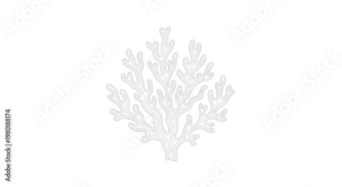 White branching coral silhouette illustration, depicting marine life, reef organism, and underwater nature on a clean background