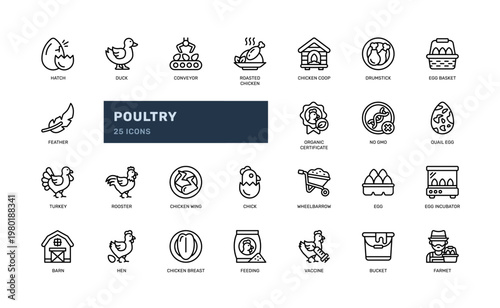 Poultry Line Icon Set Farm Chicken Egg Livestock Outline Symbol