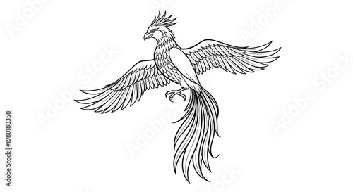 Elegant mythical bird line art illustration. Majestic fantasy creature with large wings and long tail, soaring. Black and white vector drawing.