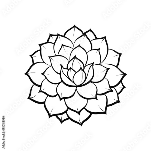 Dense petal flower top view line art detailed thin strokes circular floral vector isolated on white background