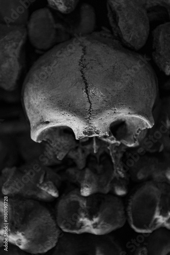 Принти на полотні catacombs of paris, france