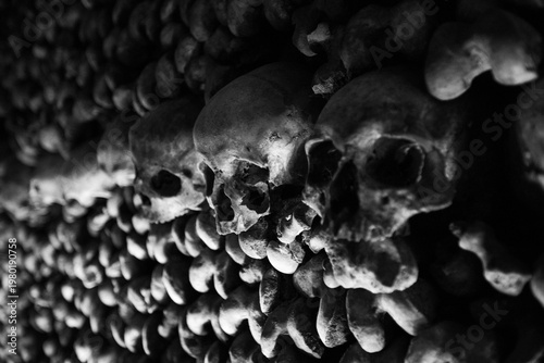Fotografie catacombs of paris, france