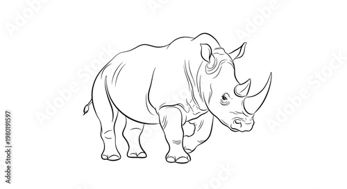Line drawing of a rhinoceros front view isolated on white background