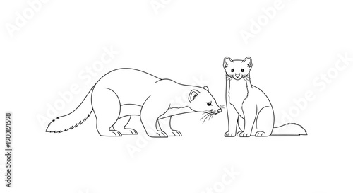 Two weasels outline art on a white background for design and creative projects