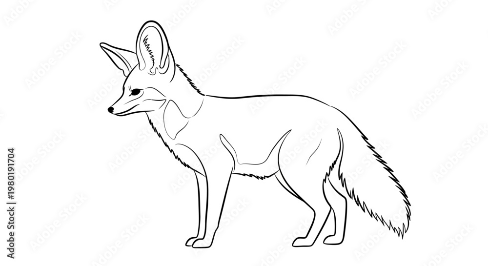 Fototapeta premium Line art illustration of a fennec fox in profile isolated on white background