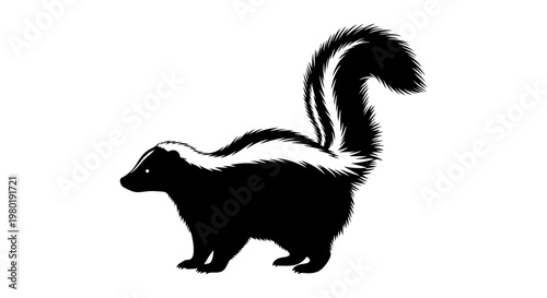 Striking black and white skunk silhouette isolated on white background