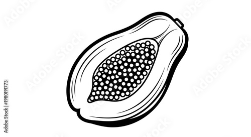Black and white papaya half cut illustration showing seeds and texture