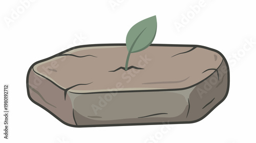 Green seedling sprout pushing through hard rock, illustrating strength and new beginnings