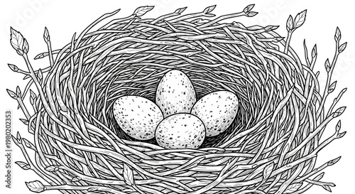 Detailed illustration of a nest with eggs depicting nature and growth