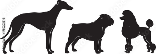Dog breed silhouettes collection, black canine vector set including greyhound bulldog and poodle, pet shop and veterinary clinic graphics