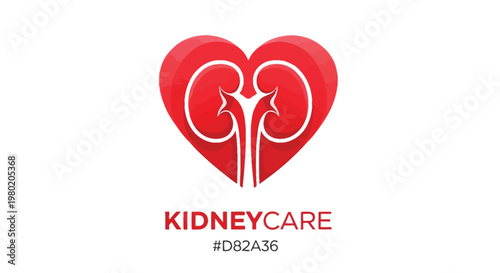 A red heart shape containing a white illustration of human kidneys representing kidney care awareness