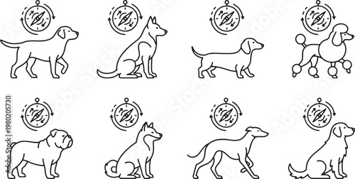 Collection of various dog breeds with navigation compass and timing symbols