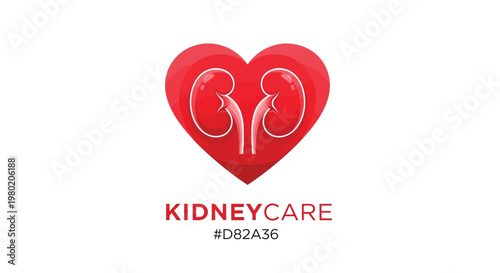 A vibrant red heart shape contains detailed illustrations of human kidneys promoting kidney care awareness