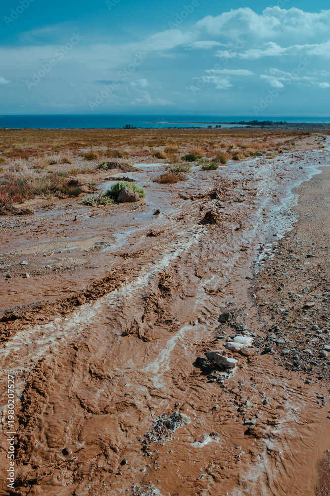 Obraz premium Mountain stream of water after heavy rain in Kyrgyzstan