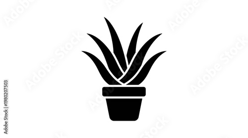 Modern Aloe Vera Plant Silhouette, Clean Minimalist Vector Illustration
