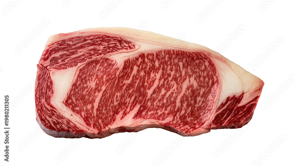 Fototapeta premium Isolated fresh prime raw Wagyu beef steak cut with intense marbling for gourmet cooking
