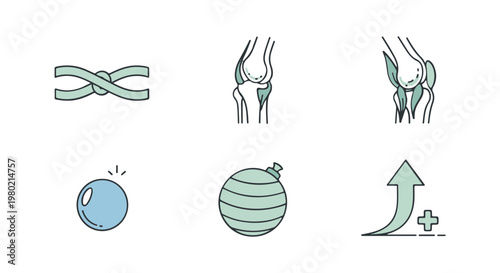 Knee Anatomy and Rehabilitation Icons: Ligaments, Muscles, Ball, and Progress