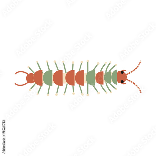 Stylized Centipede Illustration, Colorful Insect, Vector Art