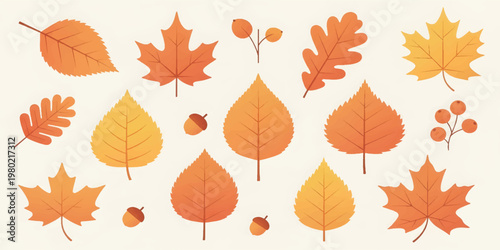Collection of various autumn leaves.