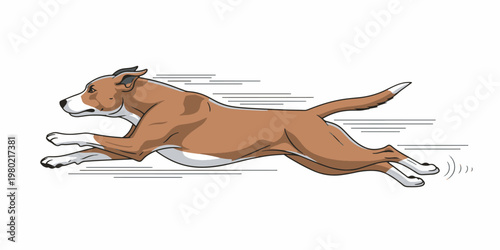 Brown dog running fast outside.