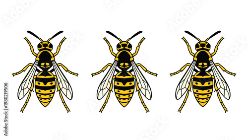 Three Yellow and Black Wasp Vector Illustrations, Isolated Insect Design