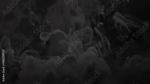 Cinematic White Smoke Swirling on Black Background with 