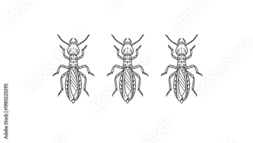 Hand-drawn sketch of three termites. Insect pest illustration for extermination, infestation, and damage concept.