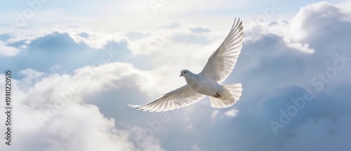 White dove in graceful flight above bright clouds with wings spread wide in soft backlight, isolated against a clean blue sky to convey peace, freedom, purity and calm spiritual symbolism