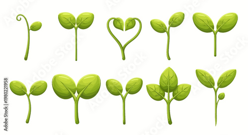 Green plant sprout collection, 10 seedling icons in vector format, organic growth and spring gardening elements, fresh young leaf set for ecology