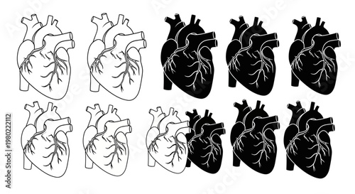 Human heart anatomical icons set, 10 realistic cardiac organ silhouettes and line art vectors, medical biology illustrations for healthcare