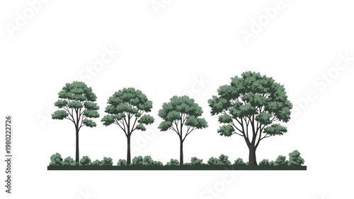 Illustrative row of diverse green trees and bushes creating a vibrant natural landscape design element